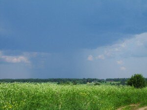 Родовые поместья - Романка