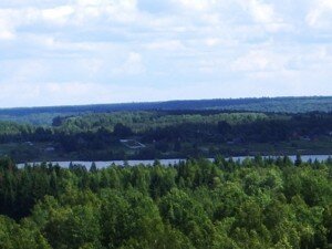 Участок у озера - Родовые поместья